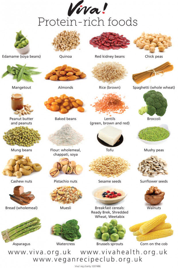 Printable List Of Rich In Protein Foods